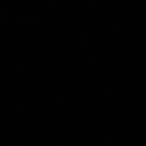 Meet your Posher, Mya